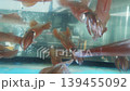 Squid in a tank 139455092