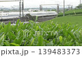 Tea fields and Shinkansen 139483373