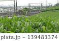 Tea plantations in Shizuoka and the Shinkansen 139483374