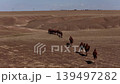 Camel caravan traversing a vast steppe in asia 139497282