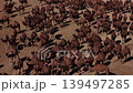 Aerial view of a large camel herd walking in the desert 139497285