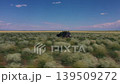 Aerial view of an off-road vehicle driving through a blooming wild steppe 139509272