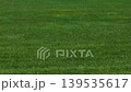 Grass (pasture grass) swaying in the wind 139535617