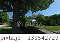 Himeji Castle Dolly Part 1 139542729