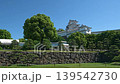 Himeji Castle Dolly Part 2 139542730