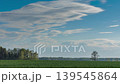 Old Oak tree against the sky, fresh green colors and spring clouds in the sky 139545864