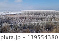 A vast winter landscape features frost-covered trees and a frozen river valley under a pale sky. Dried weeds in the foreground sway gently, their stalks dusted with rime ice. Serene, chilly atmosphere 139554380