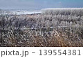 A vast winter landscape features frost-covered trees and a frozen river valley under a pale sky. Dried weeds in the foreground sway gently, their stalks dusted with rime ice. Serene, chilly atmosphere 139554381