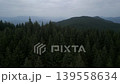 Aerial panorama of vast coniferous forest on mountain slopes under a grey cloudy sky atmospheric wilderness landscape of evergreen woods in the highlands 139558634