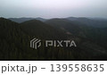 Aerial view of dense evergreen pine forest on rolling mountain hills under a misty overcast sky landscape of wild coniferous nature in the evening 139558635