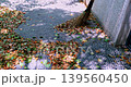 落ち葉 落葉 おちば 139560450
