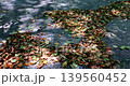 落ち葉 落葉 おちば 139560452