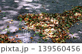 落ち葉 落葉 おちば 139560456