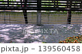 落ち葉 落葉 おちば 139560458