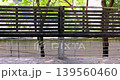 落ち葉 落葉 おちば 139560460