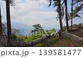 travel and people activity concept with tropical forest with pine tree on mountain  139581477