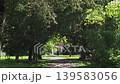 A peaceful walking path through a public park on a bright sunny day. Dense green foliage of deciduous and coniferous trees creates a natural tunnel with beautiful play of light and shadows on the 139583056