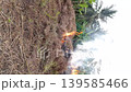 Vertical Medium shot of a pile of dry grass and brushwood burning with bright orange flames and thick white smoke. 139585466