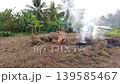Wide shot of a pile of dry grass and brushwood burning with bright orange flames and thick white smoke 139585467