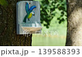 red-headed woodpecker clings tightly to the feeder 139588393