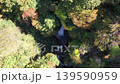 森林の中の滝 139590959