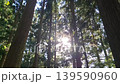 森林と光 139590960