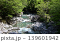 Aji Valley 139601942