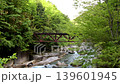 Aji Valley 139601945