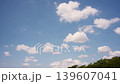 初夏の雲と新緑　タイムラプス 139607041