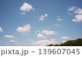 初夏の雲と新緑　タイムラプス 139607045