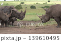 a close up of a serious confrontation between a family of rhinos and a rival 139610495