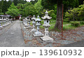 Stone lanterns lining the approach to the shrine 139610932