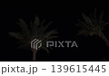 Palm trees silhouetted against a twilight sky. A relaxing lifestyle during vacations, holidays, and weekends. Boundless nature. Travel agency advertising. 139615445