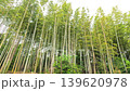 Vertical lines woven from densely packed bamboo 139620978