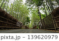 A quiet bamboo forest path 139620979
