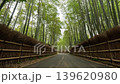 A tranquil bamboo fence 139620980