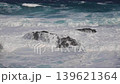 The seascape of Amami Oshima in May, under a gloomy, cloudy sky due to the influence of the rainy season front. 139621364