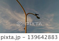 Crows resting by streetlights at dusk 139642883
