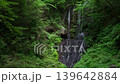 A waterfall surrounded by fresh greenery 139642884