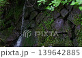 Clear current flowing through Iwama 139642885