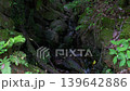Clear current flowing through Iwama 139642886