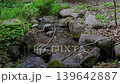 Clear current flowing through Iwama 139642887