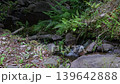 Clear current flowing through Iwama 139642888