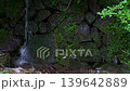 Clear current flowing through Iwama 139642889