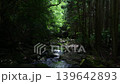 Sunlit mountain stream 139642893