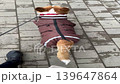 Happy ginger Welsh corgi in overalls on a walk.Vertical video 139647864