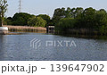 Footage of a tranquil lakeside landscape 139647902