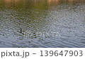 Video of wave textures on a calm lake surface 139647903