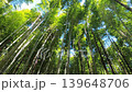 竹子伸向初夏的天空 139648706