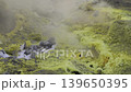 Close-up of vibrant yellow sulfur crystals on a fumarole field. Natural mineral deposits on the slopes of Vulcano Islands, Italy. 139650395